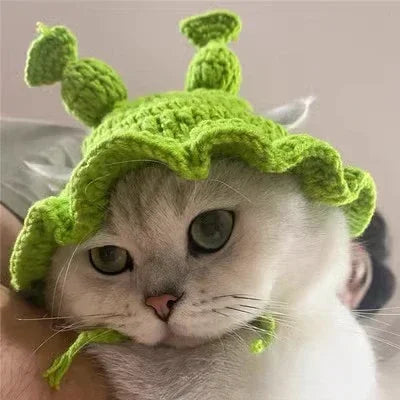 Cute Refined Cat Hat Elastic Autumn Winter Pet Hat Puppy Kittens Knitted Hat Party Photo Shoot Props Decoration Cat Accessories