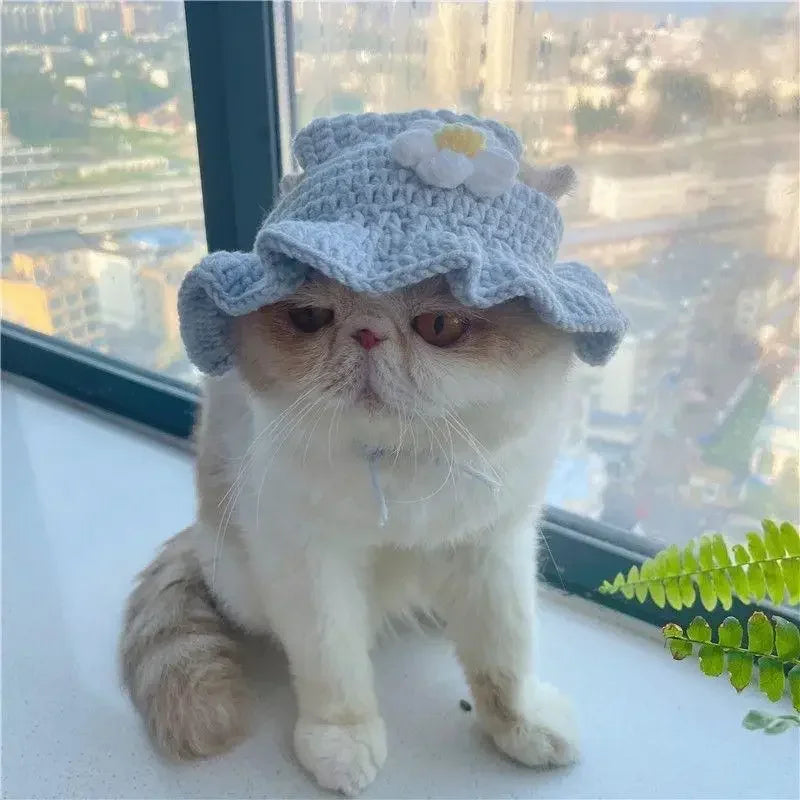 Cute Refined Cat Hat Elastic Autumn Winter Pet Hat Puppy Kittens Knitted Hat Party Photo Shoot Props Decoration Cat Accessories